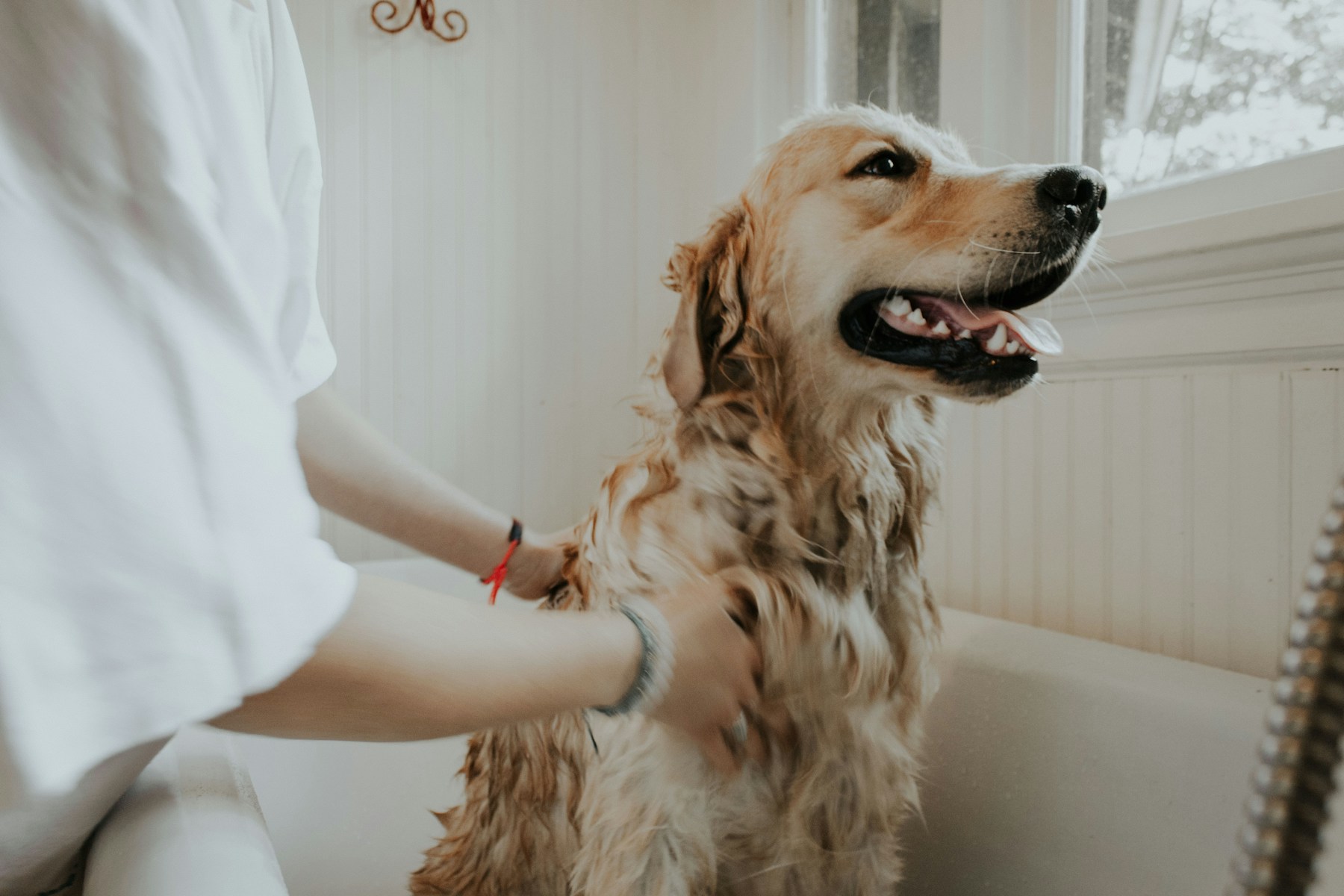 A pet owner enjoying time at home with their dog